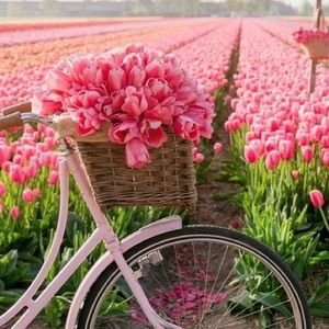 Meet your Posher, Sevda